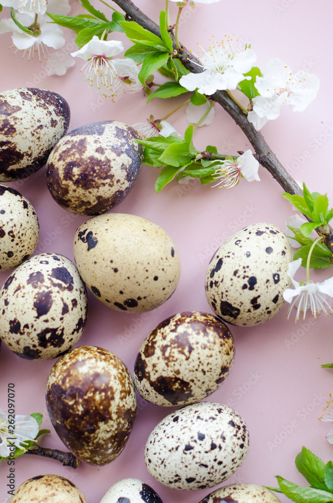 Easter eggs with branch of spring cherry blossom Easter eggs with branch of spring cherry blossom