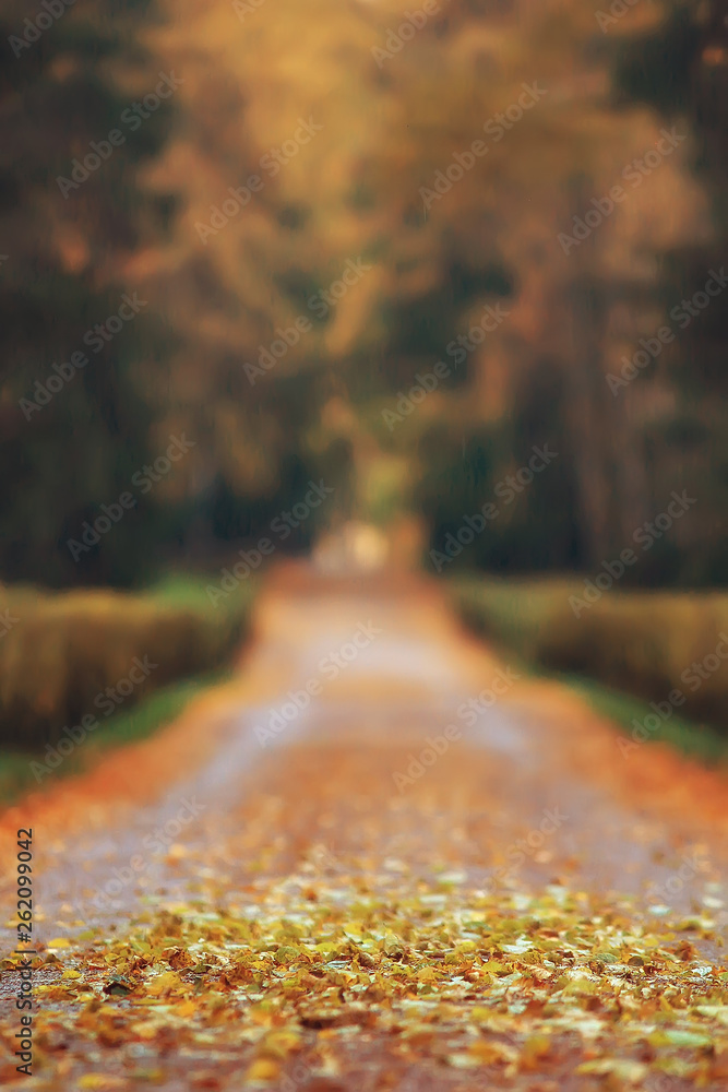 October landscape / autumn in the park, yellow October trees, alley in the autumn landscape October landscape / autumn in the park, yellow October trees, alley in the autumn landscape