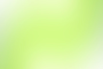 green gradient background / abstract blurry fresh green background