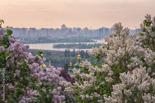 Botanical garden in Kyiv (Kiev) at sunrise. Amazing morning landscape, view of the domes of Vydubichi monastery through blossoming lilac, Ukraine, selective focus photo