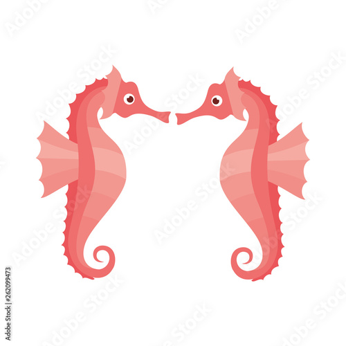seahorse pattern isolated icon