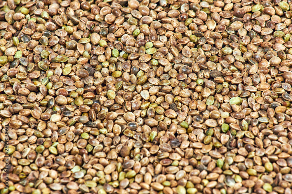 Hemp seeds marijuana grain texture background photo Hemp seeds marijuana grain texture background photo