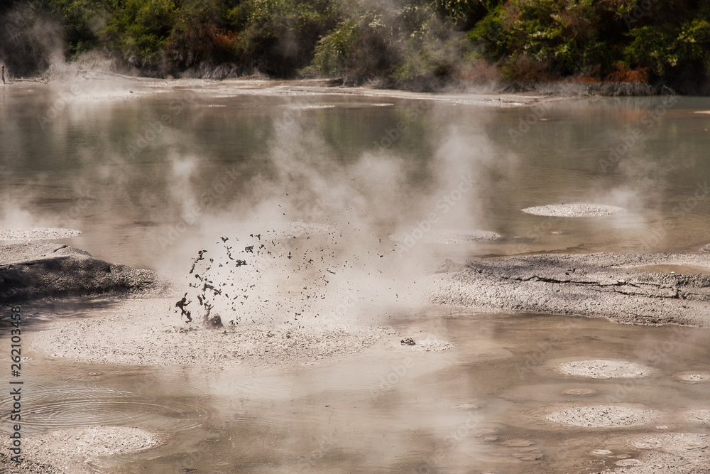 Mud Pool at Wai-O-Tapu Geothermal Area near Rotorua, New Zealand Mud Pool at Wai-O-Tapu Geothermal Area near Rotorua, New Zealand