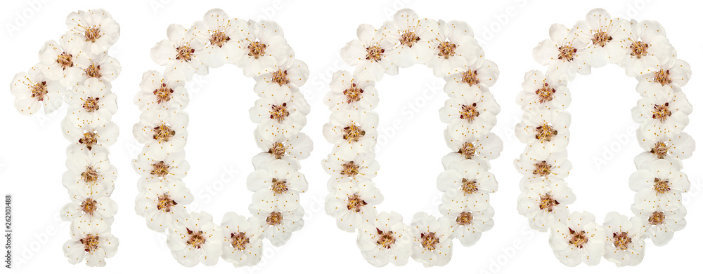 Numeral 1000, one thousand, from natural white flowers of apricot tree, isolated on white background Numeral 1000, one thousand, from natural white flowers of apricot tree, isolated on white background