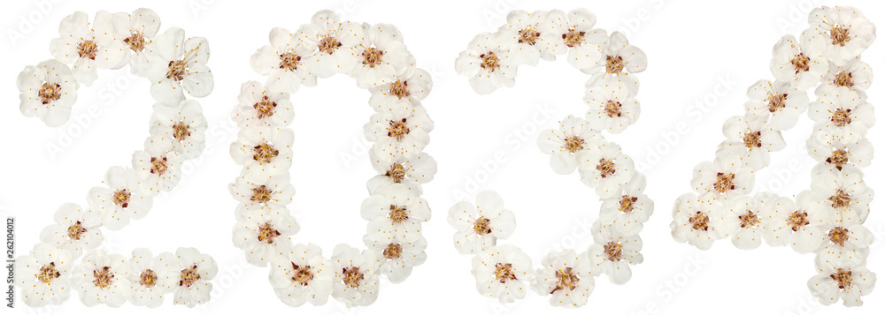 Inscription 2034, from natural white flowers of apricot tree, isolated on white background