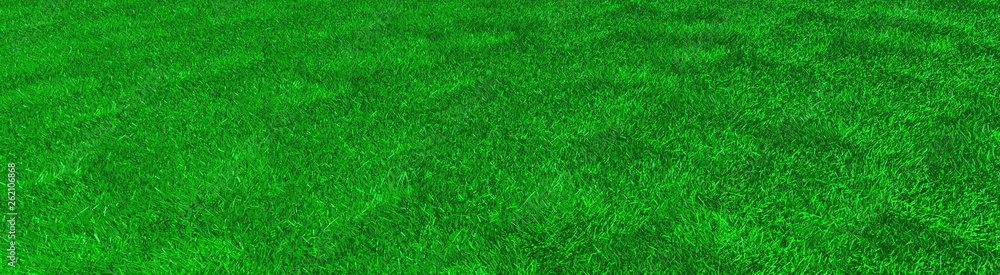 artificial grass, texture of green grass, 3d rendering, trugreen, processed with lawn mower and aerator, panorama artificial grass, texture of green grass, 3d rendering, trugreen, processed with lawn mower and aerator, panorama