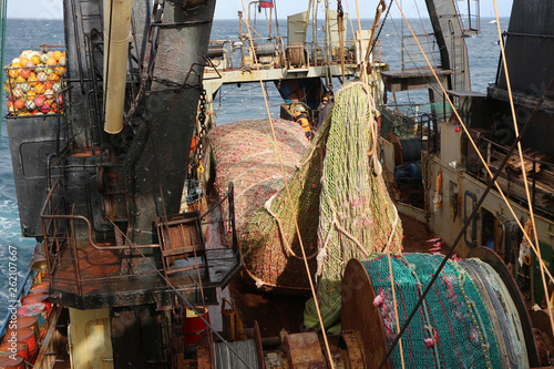 Fotografie trawl full of red fish on the deck of a fishing boat