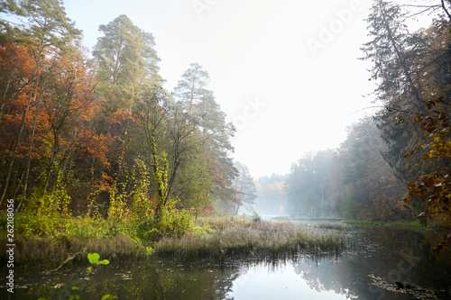 Autumn landscape. Foggy forest and river. Morning nature in a fog