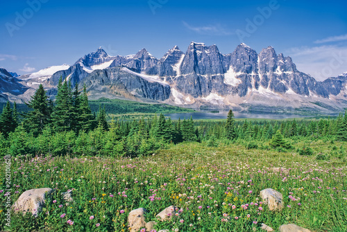 Wildflowers in forest meadow with The Ramparts rising above Amethyst Lake in distance, Tonquin Valley, Jasper National Park, Canada