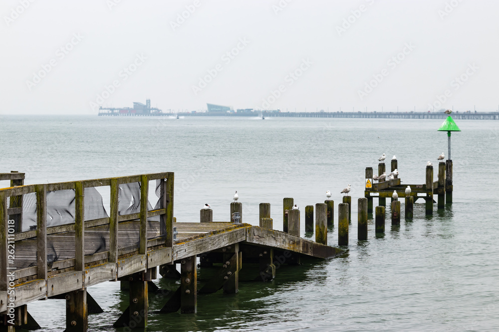 Fototapeta premium old wooden pier construction with seagulls and navigation marker