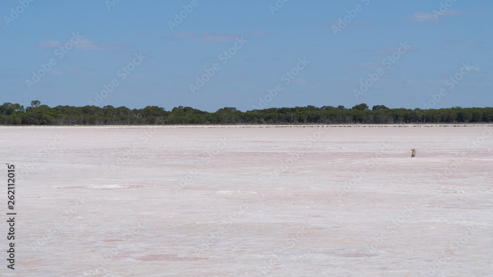 One of large Pink salt lakes in South Australia territory, Australia