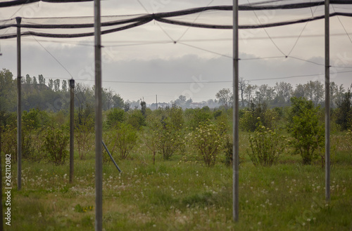 The countryside on a gloomy day #2 photo