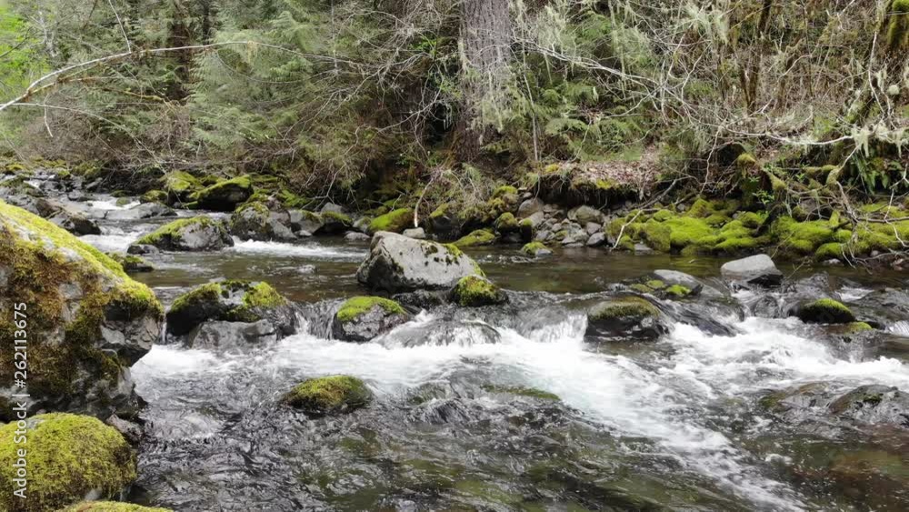 Rocky Brook flowing out of the Olympic National Park on Washington's Olympic Peninsula Rocky Brook flowing out of the Olympic National Park on Washington's Olympic Peninsula