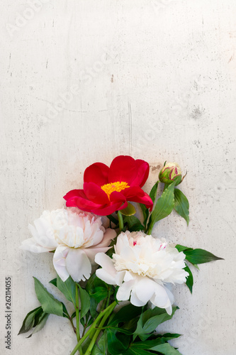 Fototapeta Naklejka Na Ścianę i Meble -  Fresh peony flowers