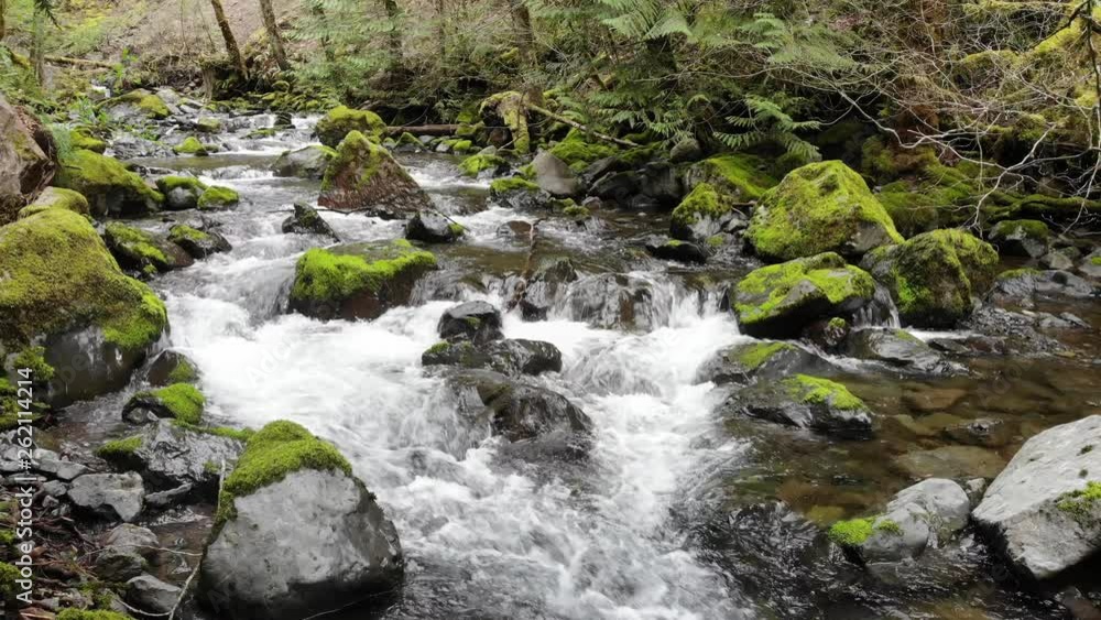 Rocky Brook flowing out of the Olympic National Park on Washington's Olympic Peninsula Rocky Brook flowing out of the Olympic National Park on Washington's Olympic Peninsula