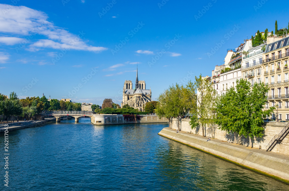 View of the cathedral of Notre Dame and the river Seine