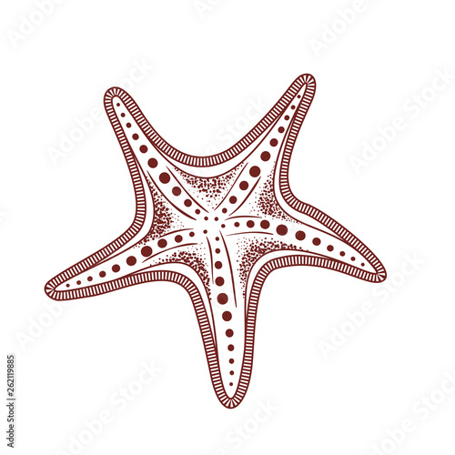 cute starfish isolated icon