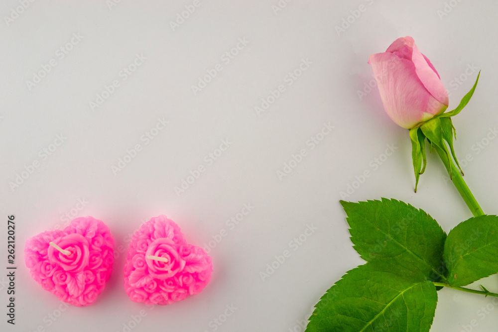 Fototapeta premium Pink rose with decorative details on a white background