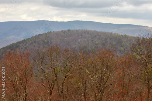 View of the St. Mary's Wilderness from Bald Mountain overlook along the Blue Ridge Parkway in the Blue Ridge mountains of central Virginia