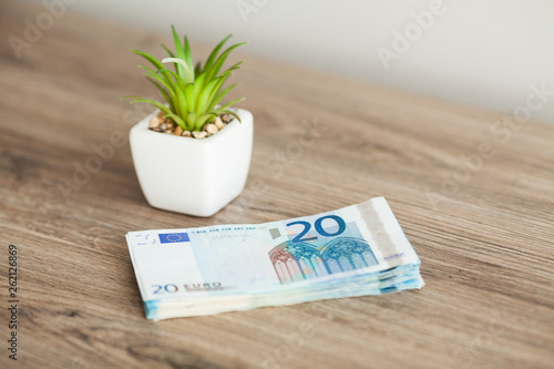 Banknotes with a nominal value of twenty Euro lying like a fan on the table