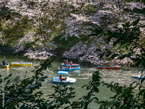 Chiyoda, Tokyo / Japan - April 04 2019: Beautiful lake in Chidorigafuchi, surrounding the Imperial Palace, and with hundreds of sakura trees, very nice boat riding