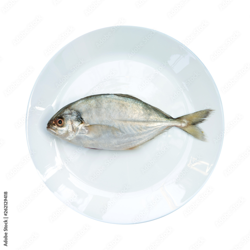 Yellow Tail Scad fish, Decapterus fish, on White plate, isolated on white background Yellow Tail Scad fish, Decapterus fish, on White plate, isolated on white background