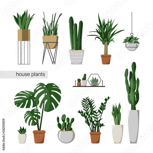 A set of indoor plants. Home interior. Houseplants. Flat style vector illustration.