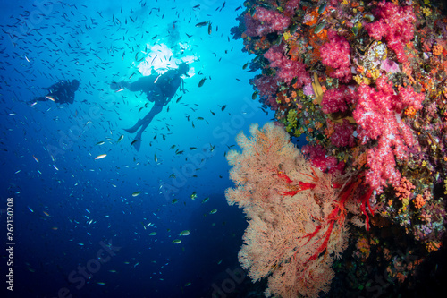Fototapeta Naklejka Na Ścianę i Meble -  SCUBA diver on a colorful, healthy tropical coral reef