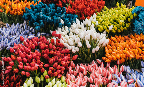 Multi colored tulps in amsterdam flower shop