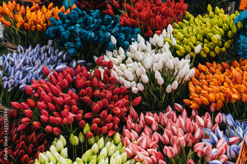 Multi colored tulps in amsterdam flower shop