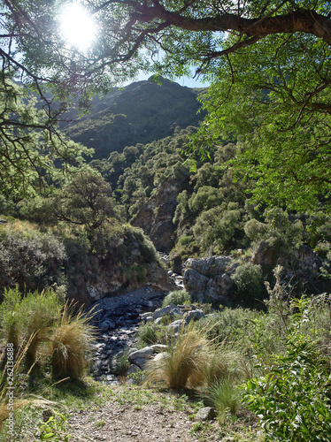 The view at Reserva Florofaunistica reserve in Villa de Merlo, San Luis, Argentina. photo