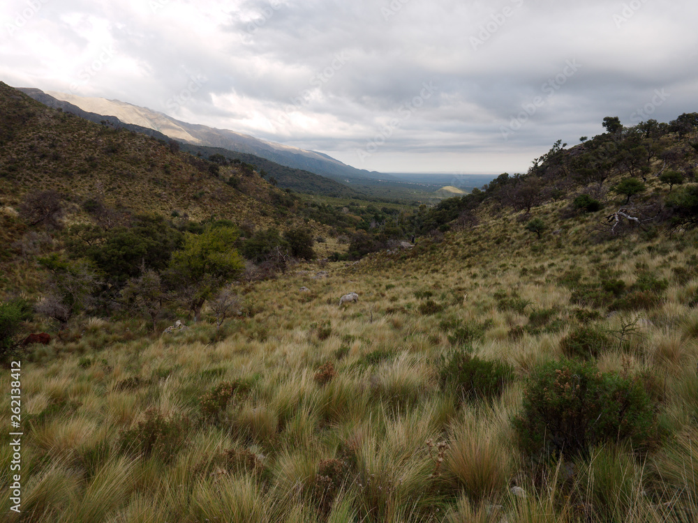 The view at Mogote Bayo natural reserve, Villa de Merlo, San Luis, Argentina