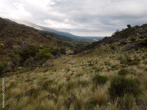 The view at Mogote Bayo natural reserve, Villa de Merlo, San Luis, Argentina