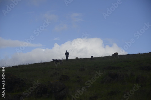 Clouds Sky © Sherri