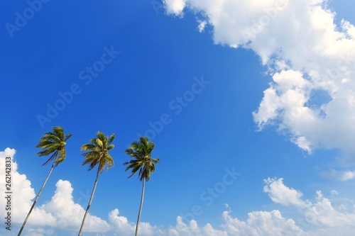 Coconut trees on tropical beach with blue sky background © fiz_zero