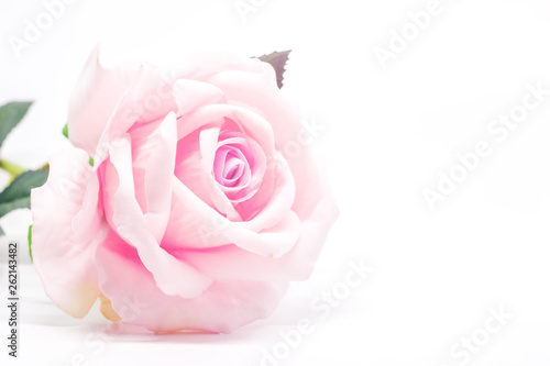 Artificial sweet pink rose for decoration on white background with soft tone image