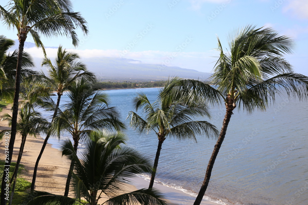 Fototapeta premium Maui, Hawaii