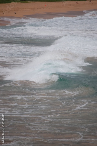 Waves in Tropic