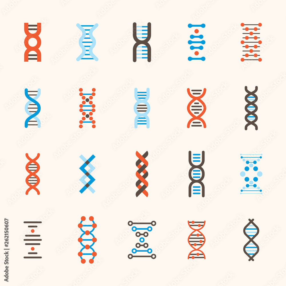 DNA patterns of various structures. flat design style minimal vector