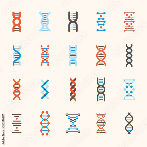 DNA patterns of various structures. flat design style minimal vector illustration photo