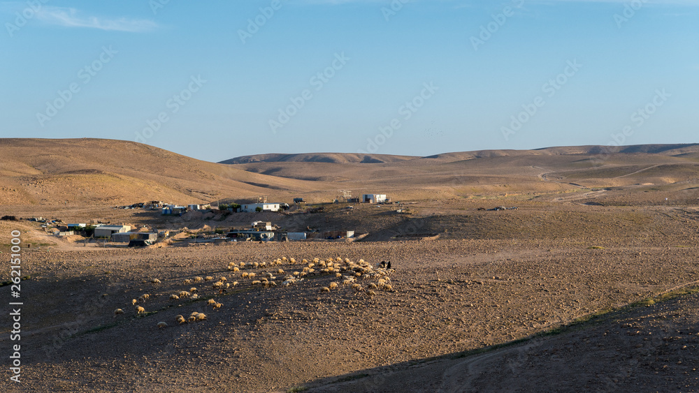 Desert landscape- Masada Israel