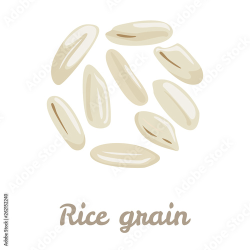 Rice grain icon isolated on white background. Vector illustration of a cereal in cartoon simple flat style.