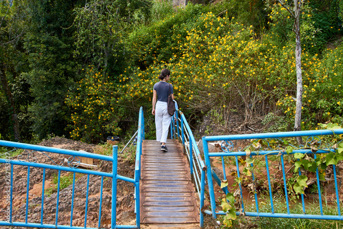 Bridge