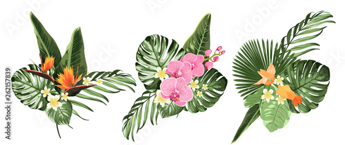Tropical plants, philodendron monstera palm leaves,orchid strelitzia flowers set