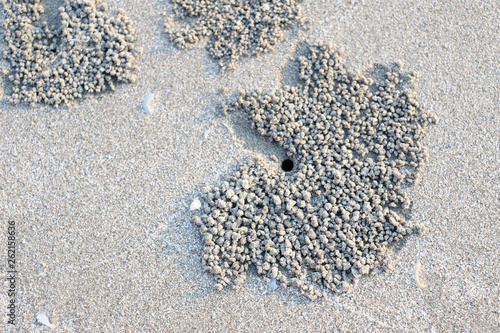 A pile of sand caused by crab digging hole on the beach.