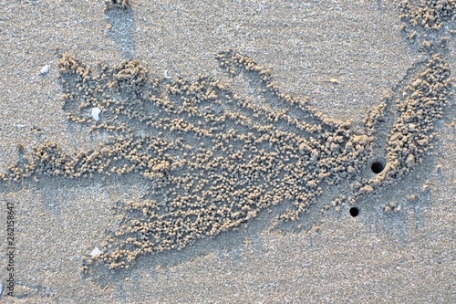 A pile of sand caused by crab digging hole on the beach.
