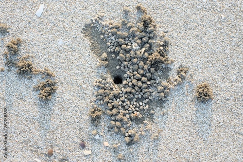 A pile of sand caused by crab digging hole on the beach.