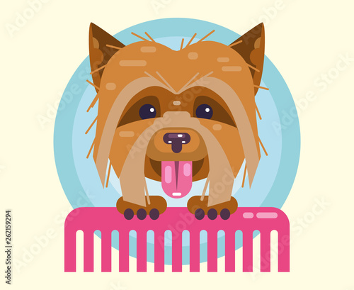 Dogs grooming. Haircut, combing and grooming pets.