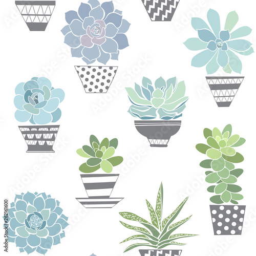 Seamless pattern with succulents in pots. Vector background.