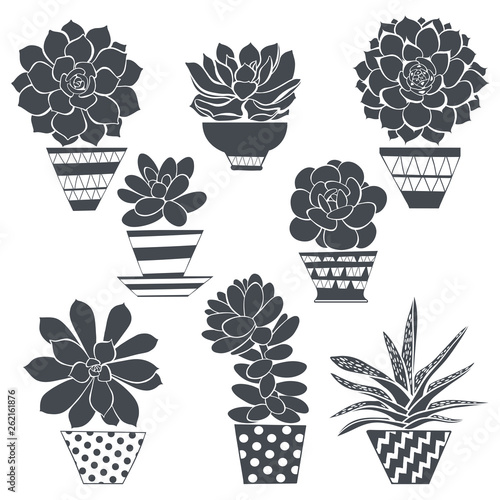 Graphic set with succulents in pots, isolated on white background. Hand drawn vector illustration, sketch. Elements for design. Silhouettes.
